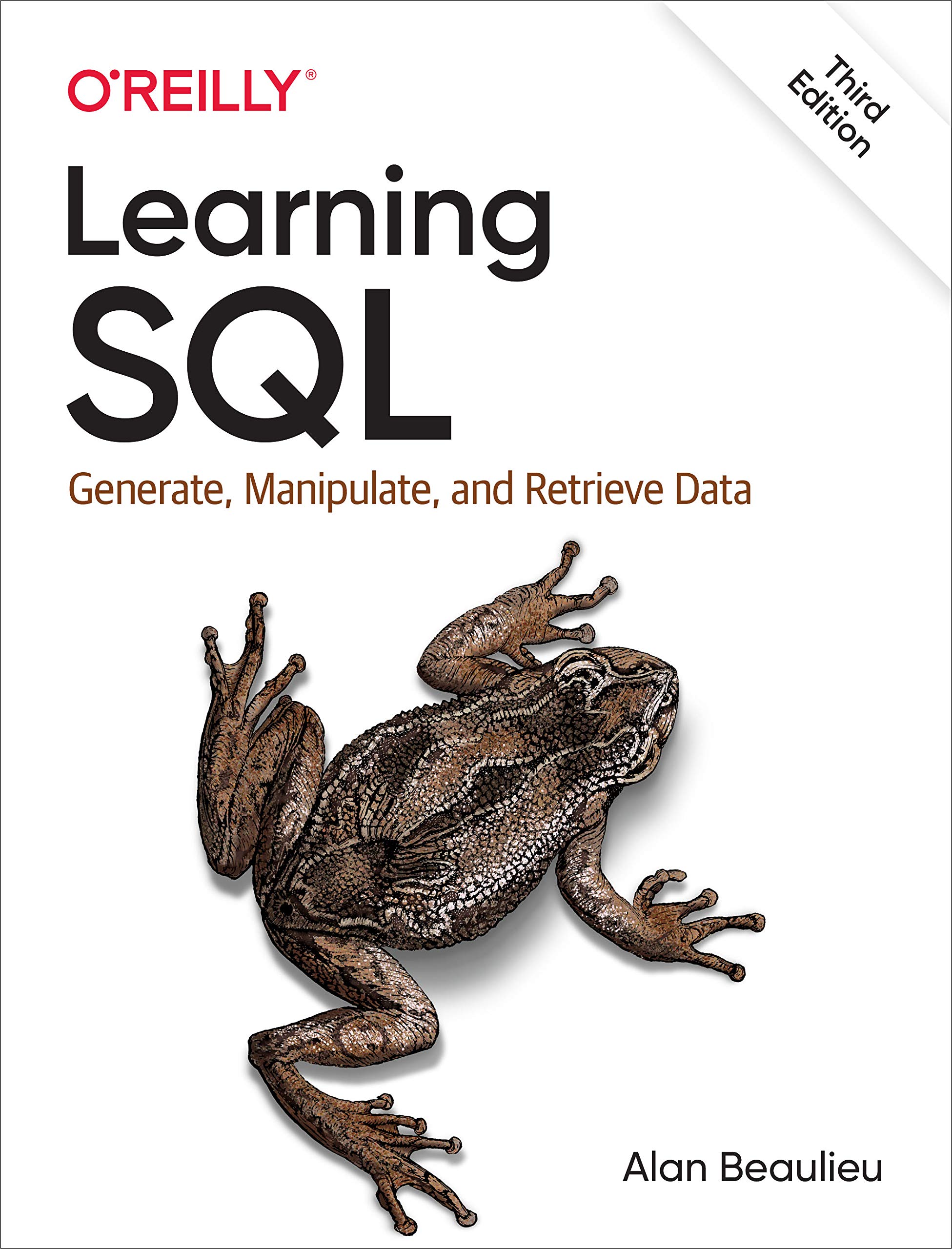 Learning SQL: Generate, Manipulate, and Retrieve Data: Beaulieu